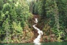 Bird Watcher's Adventure